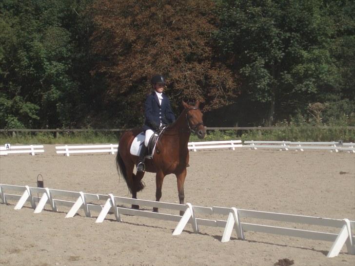 Idefix og Sarah: LC2-B HGR billede 32