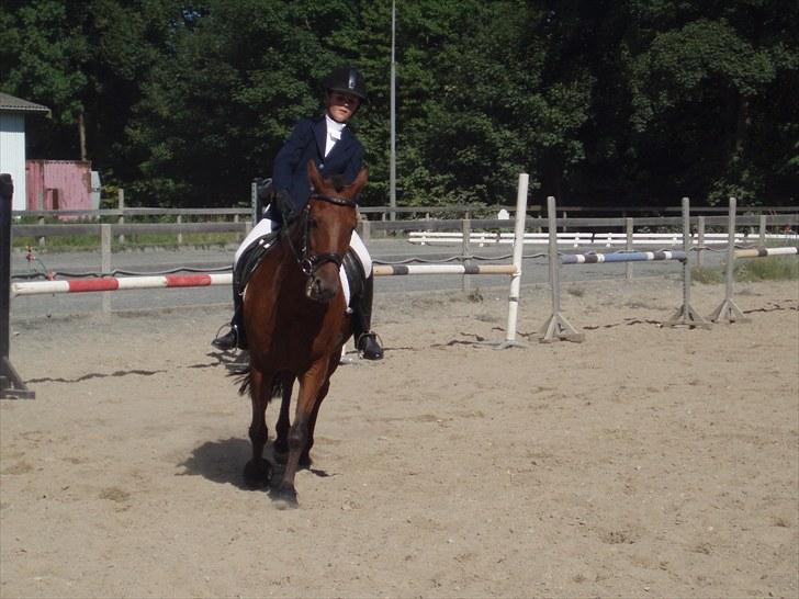 Idefix og Sarah: LC2-B HGR billede 33