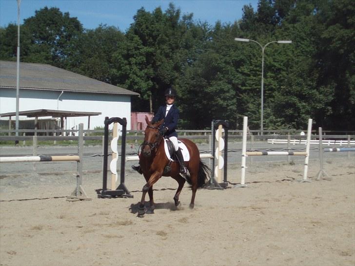 Idefix og Sarah: LC2-B HGR billede 34