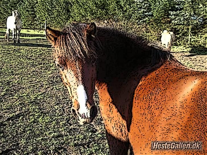 Tegnefilms figur til andre - Jolly billede 2