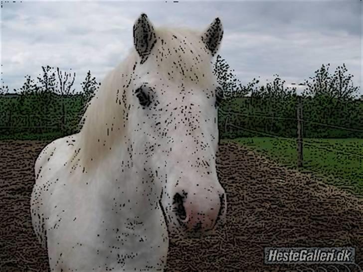 Tegnefilms figur til andre - Blacky billede 3