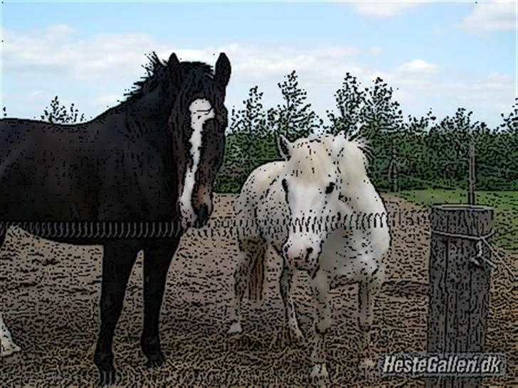 Tegnefilms figur til andre - Blacky billede 4