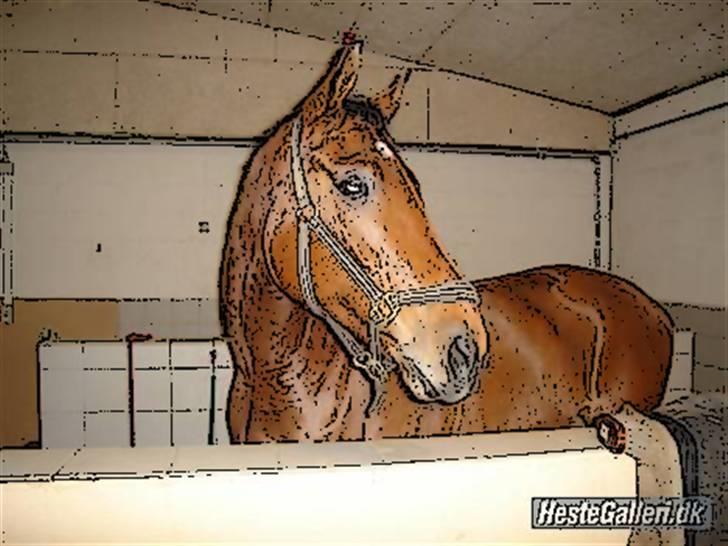 Tegnefilms figur til andre - Mogli billede 6