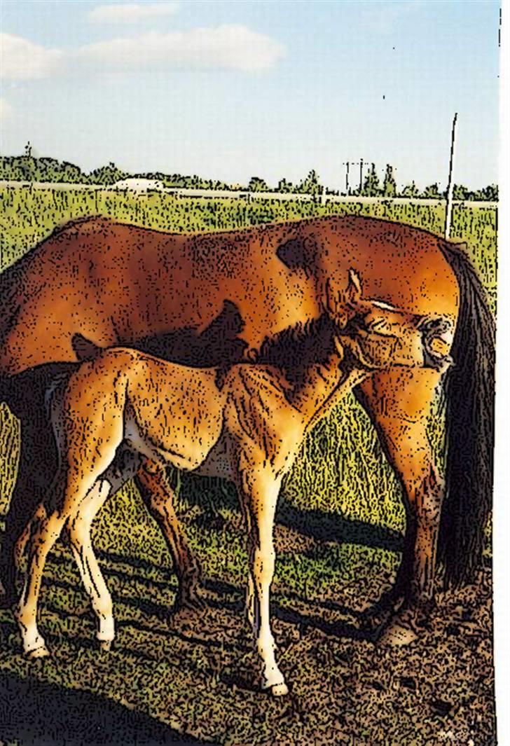 Tegnefilms figur til andre - Chablis billede 8