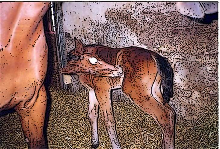 Tegnefilms figur til andre - Malou billede 9