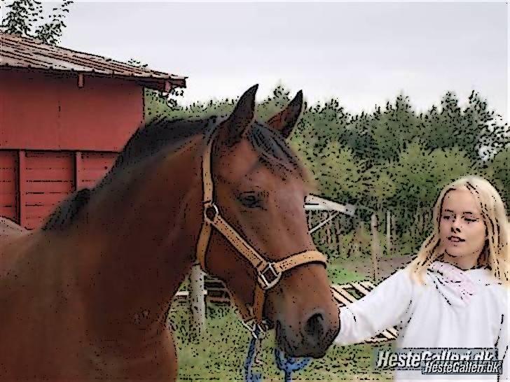 Tegnefilms figur til andre - Kiwi billede 11