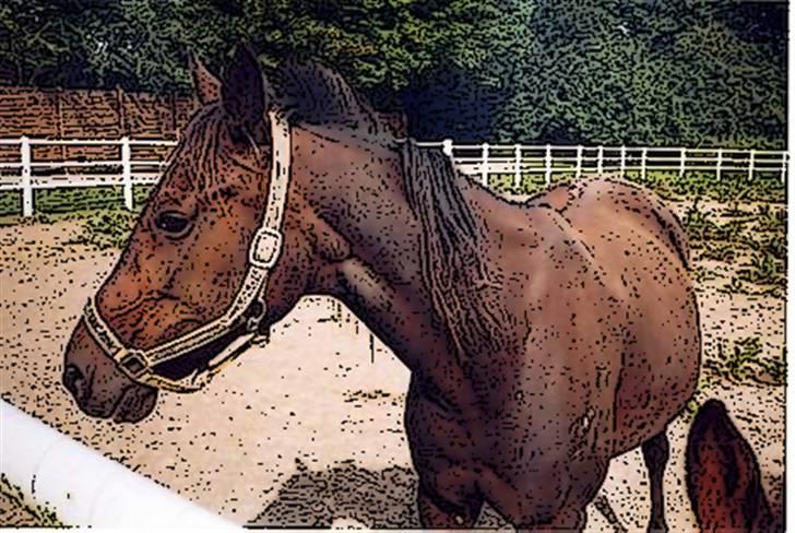 Tegnefilms figur til andre - Til flemming R billede 15