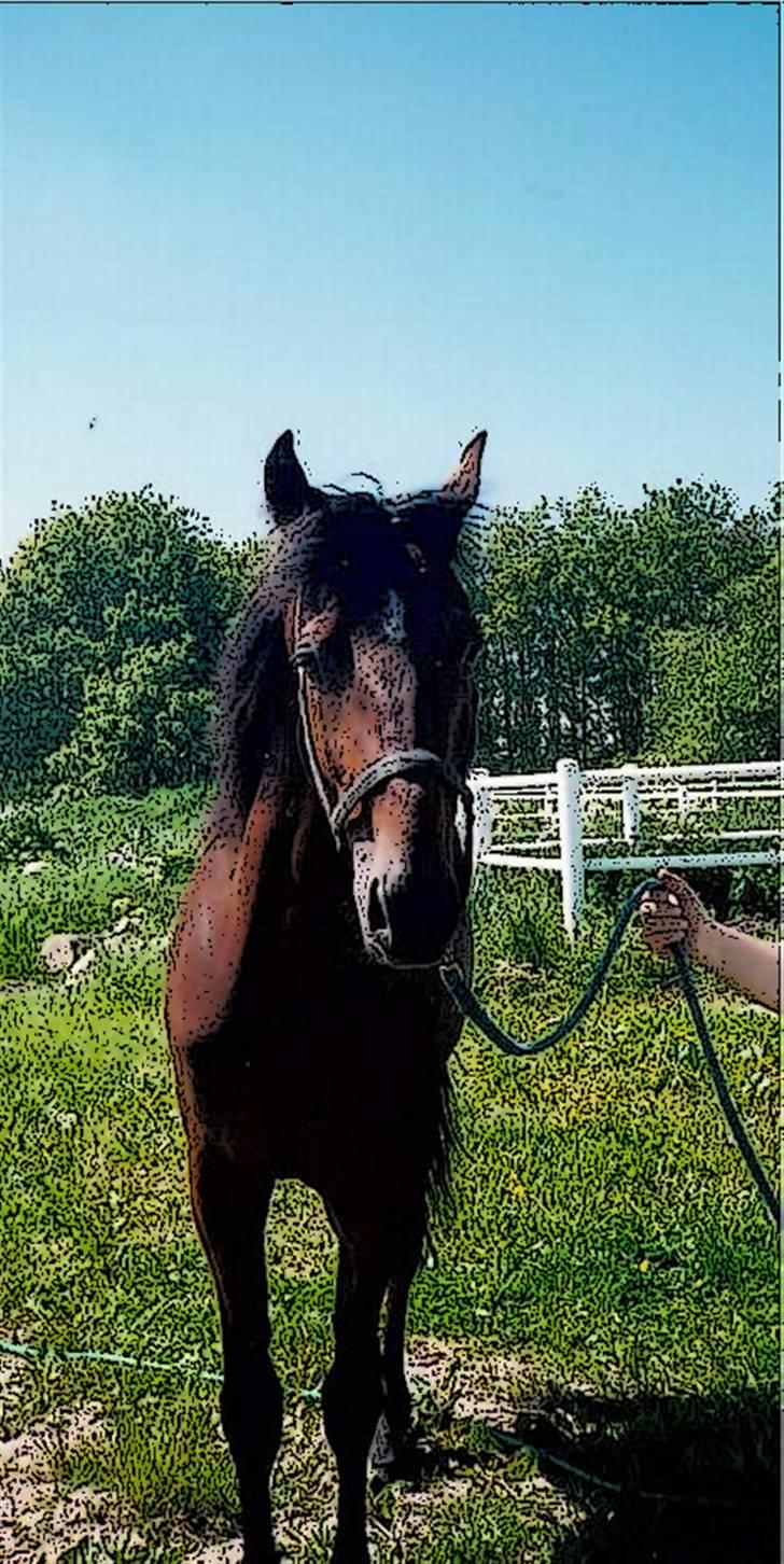 Tegnefilms figur til andre - Til flemming R billede 16