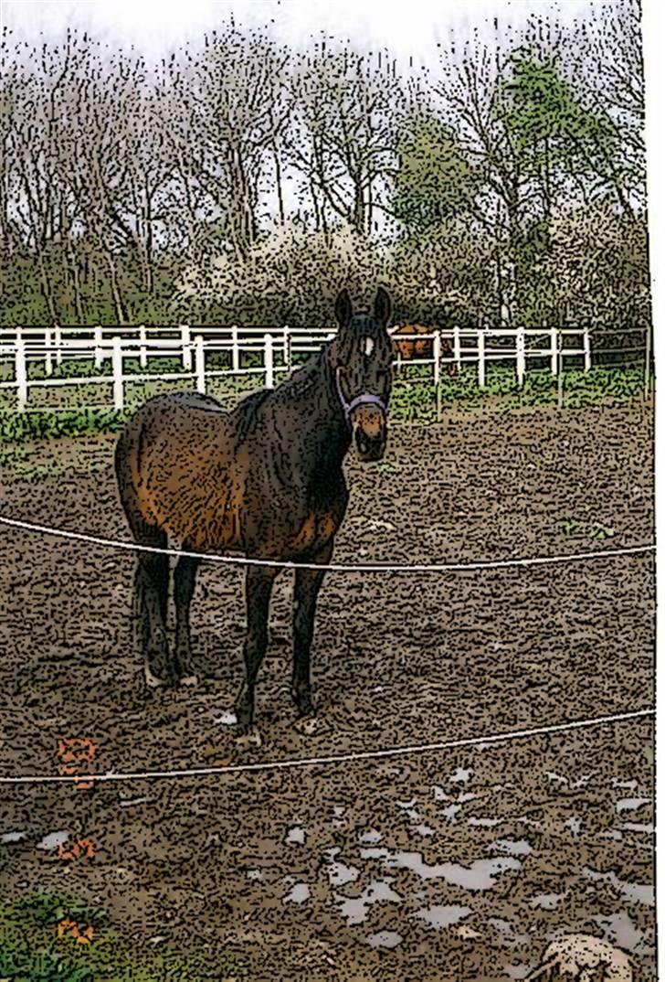 Tegnefilms figur til andre - Til flemming R billede 17