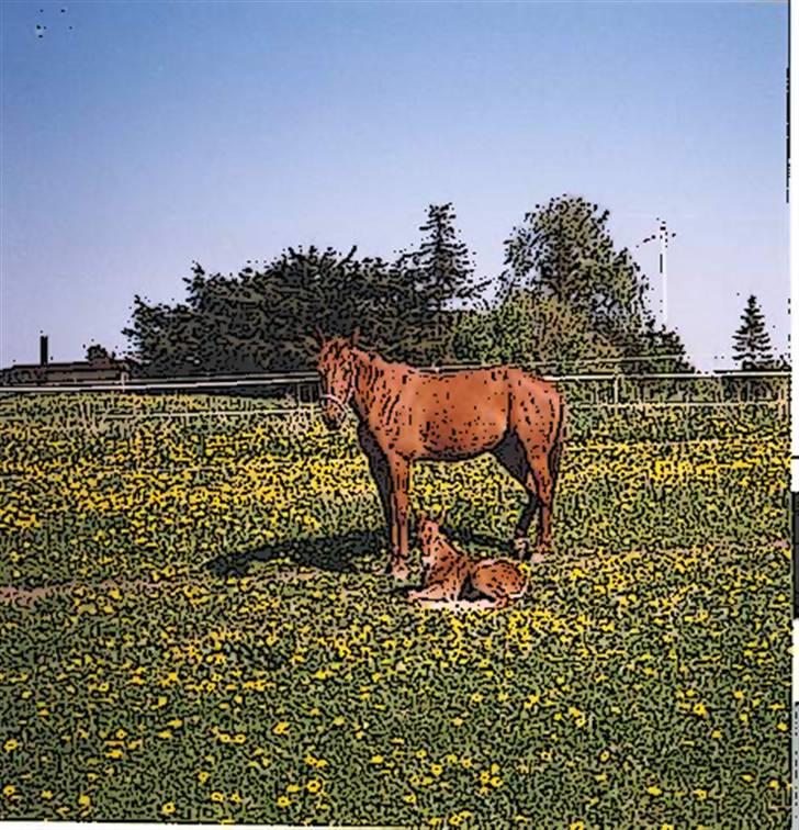 Tegnefilms figur til andre - Til flemming R billede 18