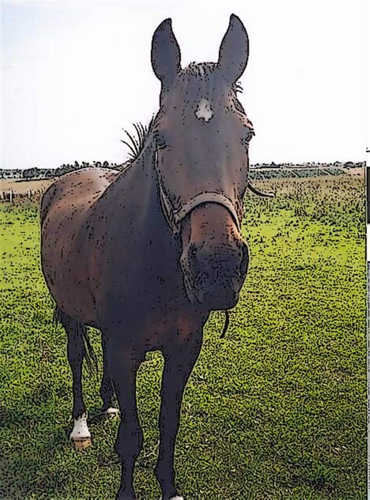 Tegnefilms figur til andre - Til flemming R billede 19