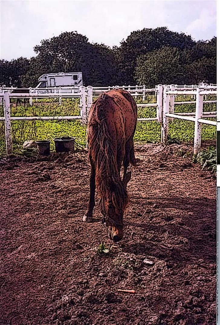 Tegnefilms figur til andre - Til flemming R billede 21