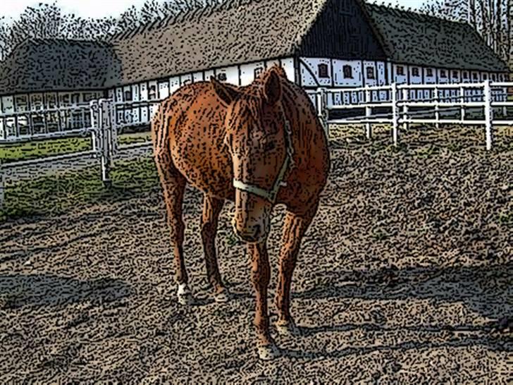 Tegnefilms figur til andre - Til flemming R billede 22