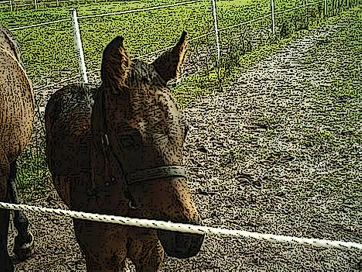 Tegnefilms figur til andre - Til flemming R billede 23