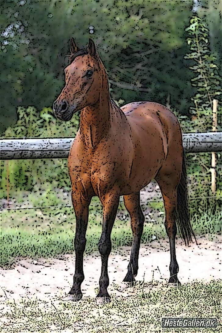 Tegnefilms figur til andre - Skipper billede 26