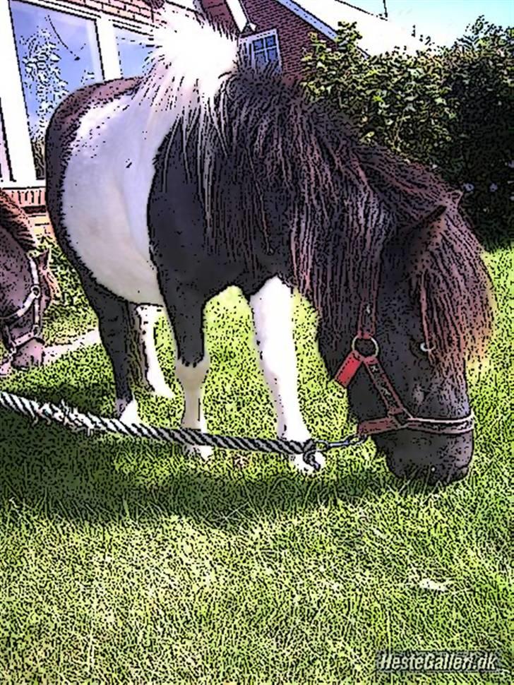 Tegnefilms figur til andre - Batman billede 30