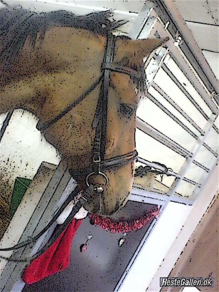 Tegnefilms figur til andre - Berta
 billede 33