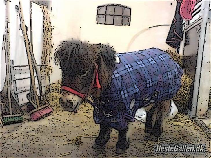 Tegnefilms figur til andre - Hanibal billede 34