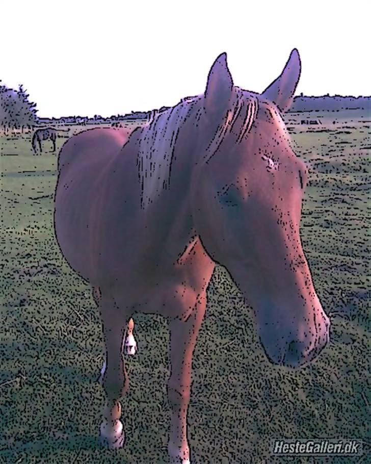 Tegnefilms figur til andre - Red shadow billede 35