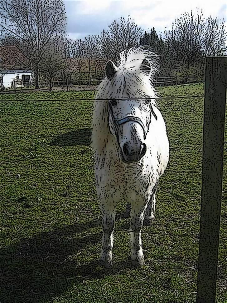 Tegnefilms figur til andre - Laban billede 46