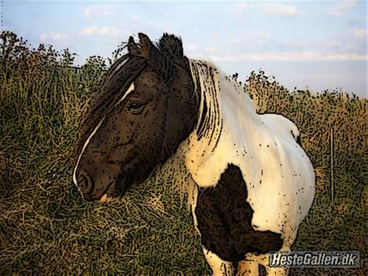 Tegnefilms figur til andre - Lunte billede 49