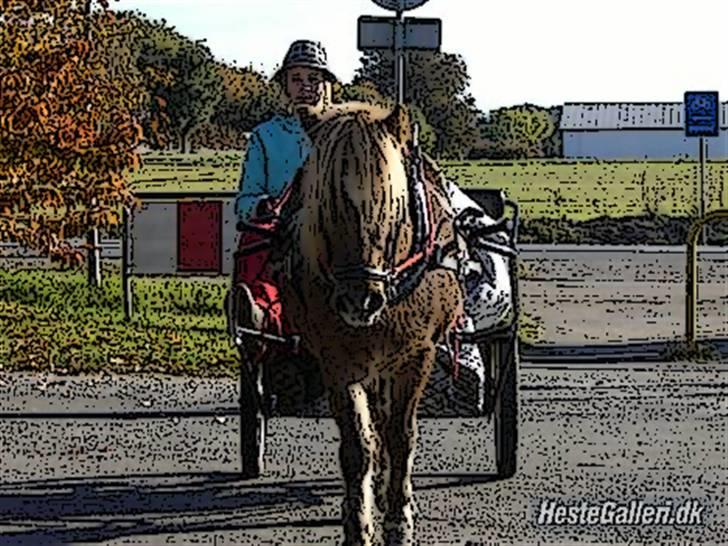 Tegnefilms figur til andre - Pegasus billede 50