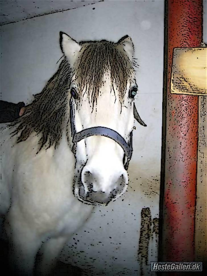 Tegnefilms figur til andre - Nelson billede 51