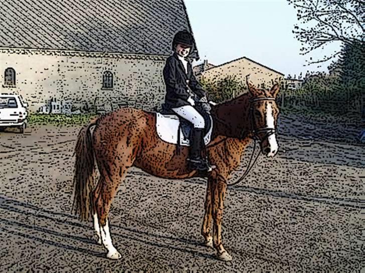 Tegnefilms figur til andre - Santos billede 55