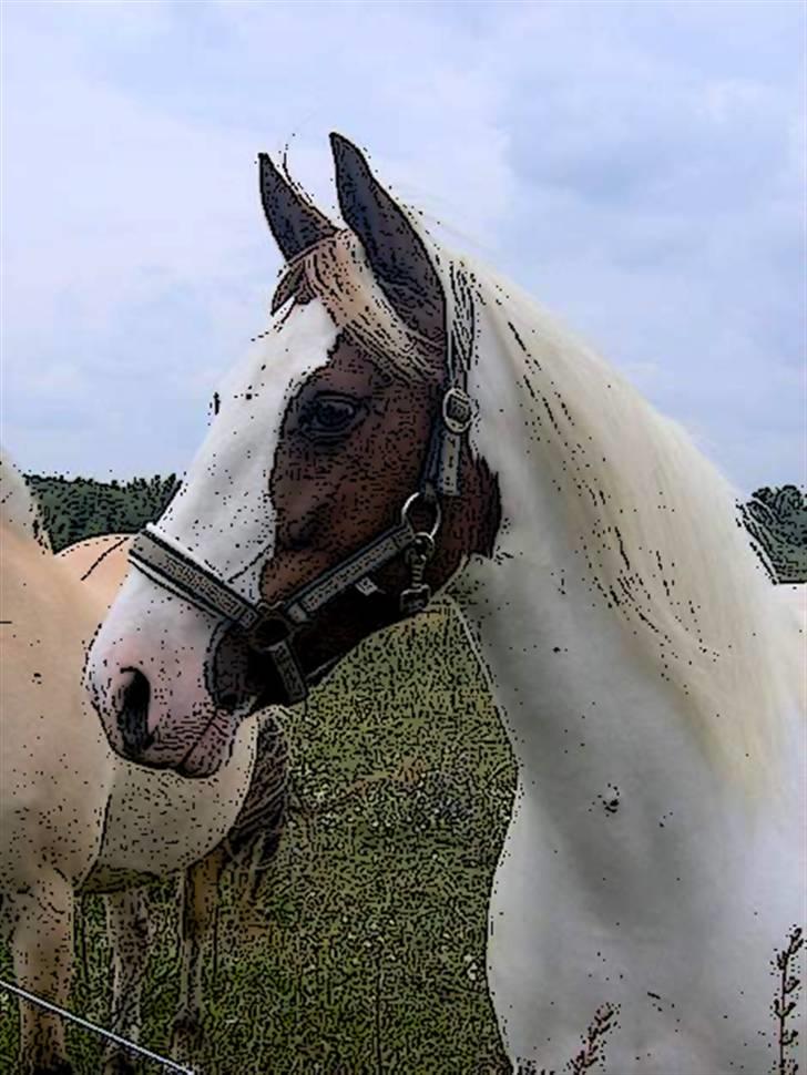 Tegnefilms figur til andre - Canupa billede 60