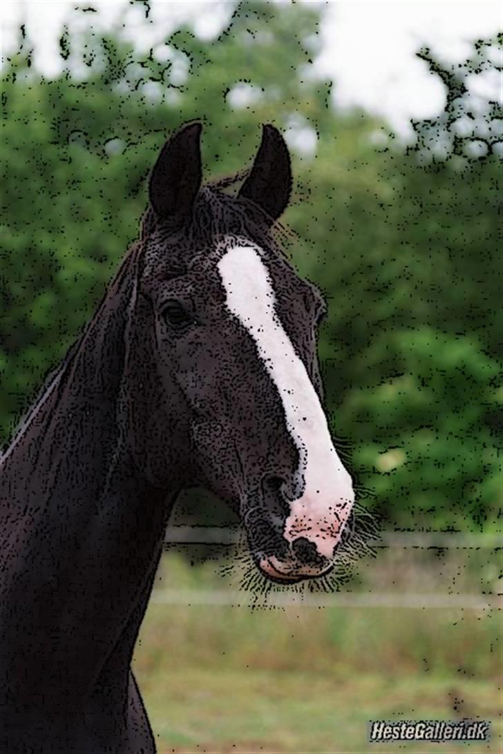 Tegnefilms figur til andre - Zigaro billede 64