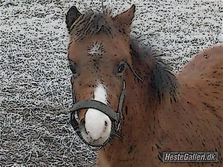 Tegnefilms figur til andre - Braveheart billede 68