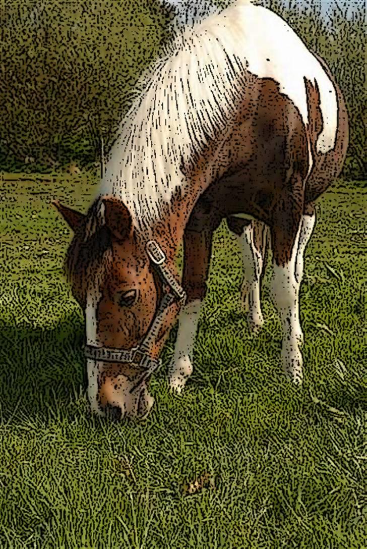 Tegnefilms figur til andre - Sandy billede 70