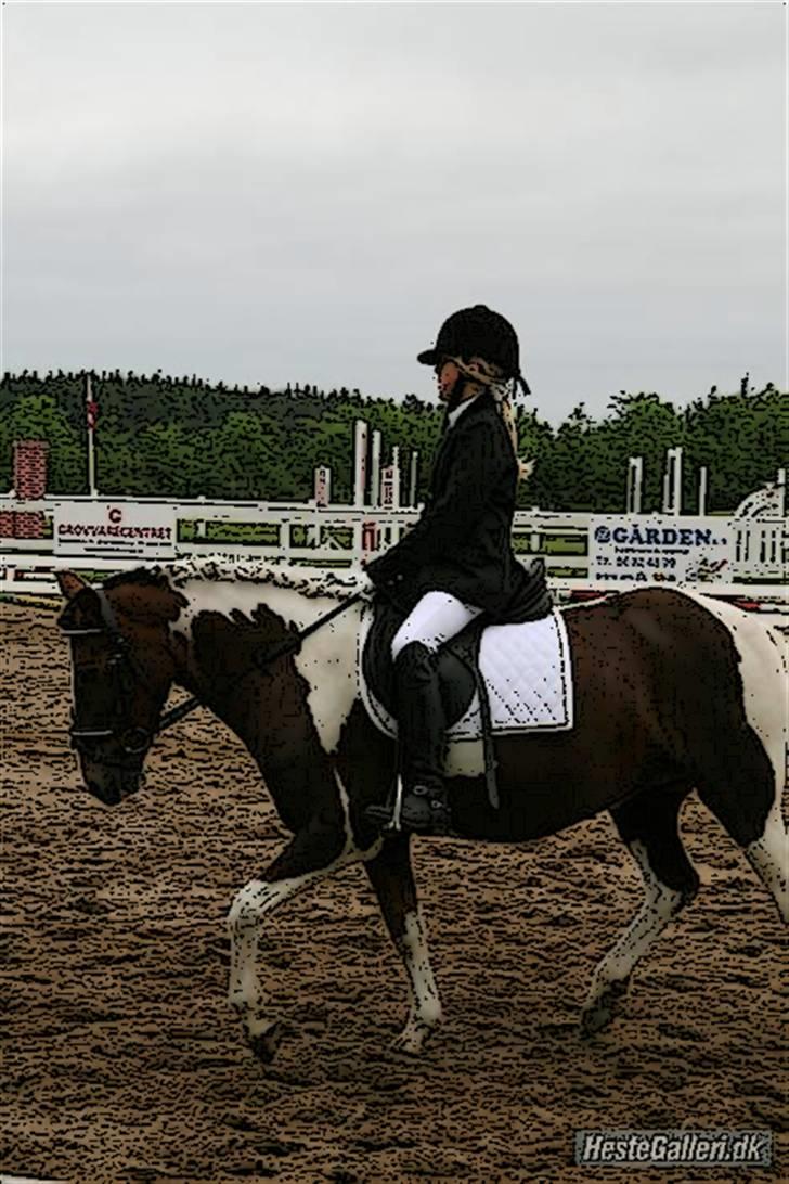 Tegnefilms figur til andre - Sandy igen billede 71