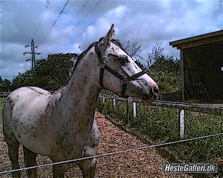 Tegnefilms figur til andre - Malcolm billede 72