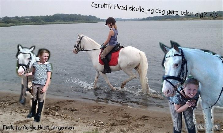 PhotoFiltre Billeder - Til Ann-Louise og Cerutti :) billede 26