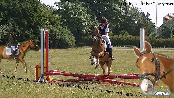 PhotoFiltre Billeder - Til Ann-Louise og Mataya :) billede 28