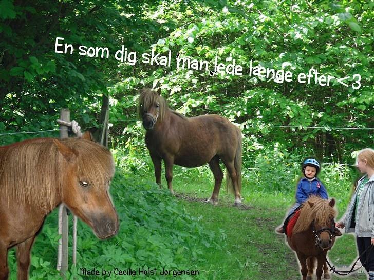 PhotoFiltre Billeder - Til Asbjørn og Anja (Camilla) :) billede 29