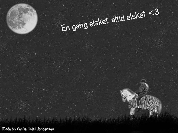 PhotoFiltre Billeder - Til Camilla og Zafir :) billede 31