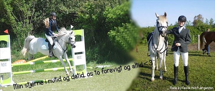 PhotoFiltre Billeder - Til Camilla og Zafir :) billede 32