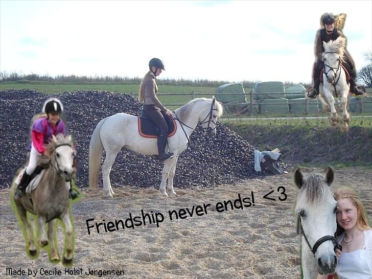 PhotoFiltre Billeder - Til Camilla og Zafir :) billede 33