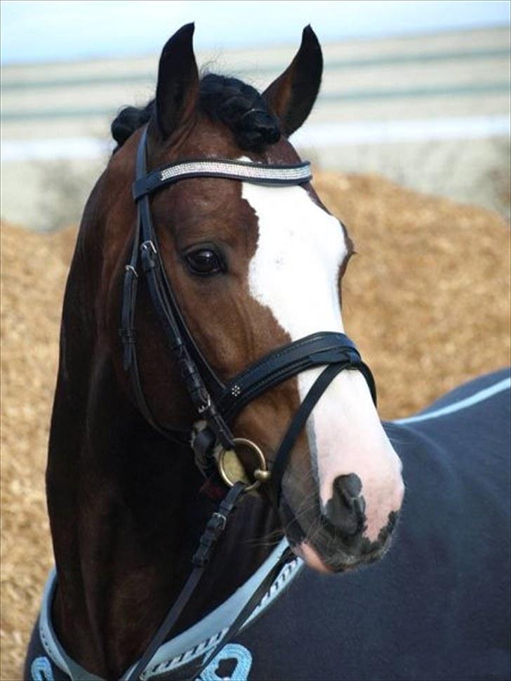 Ønkse liste :D<33 - HOT hovedtøj! billede 7