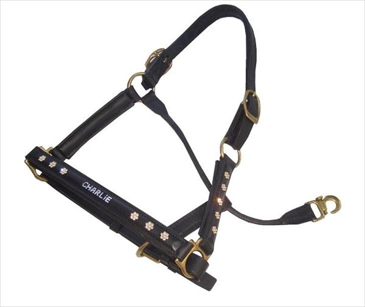 Ønkse liste :D<33 - FED grime! 
Str: Pony billede 10