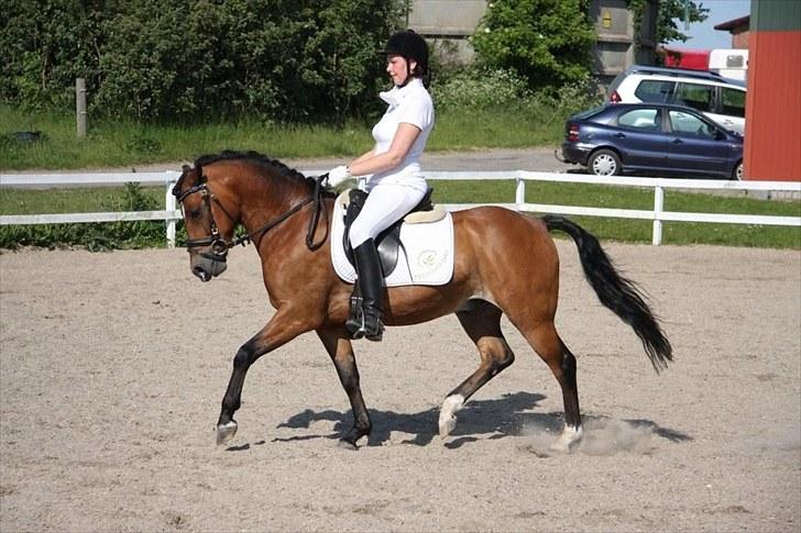 Dejlige Carte D'or - Stævne i Maribo forår 2009:) billede 5