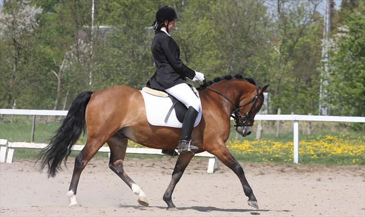 Dejlige Carte D'or - Støvne ØLR forår 2009 billede 8