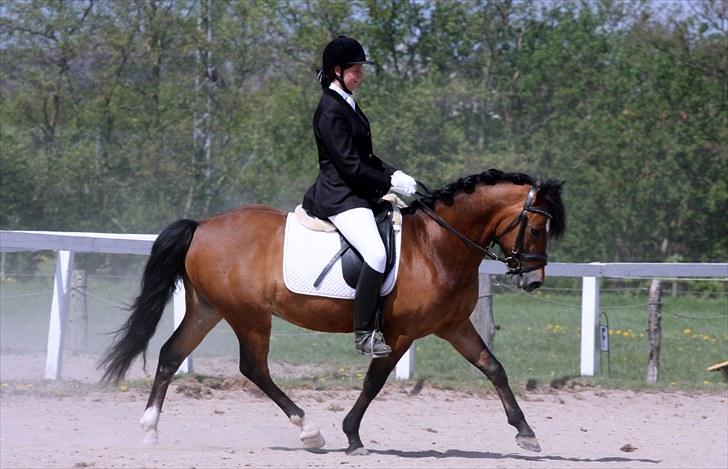 Dejlige Carte D'or - Støvne ØLR forår 2009 billede 9