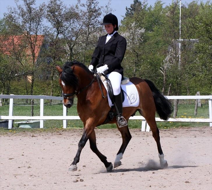 Dejlige Carte D'or - Stævne ØLR forår 2009 billede 10