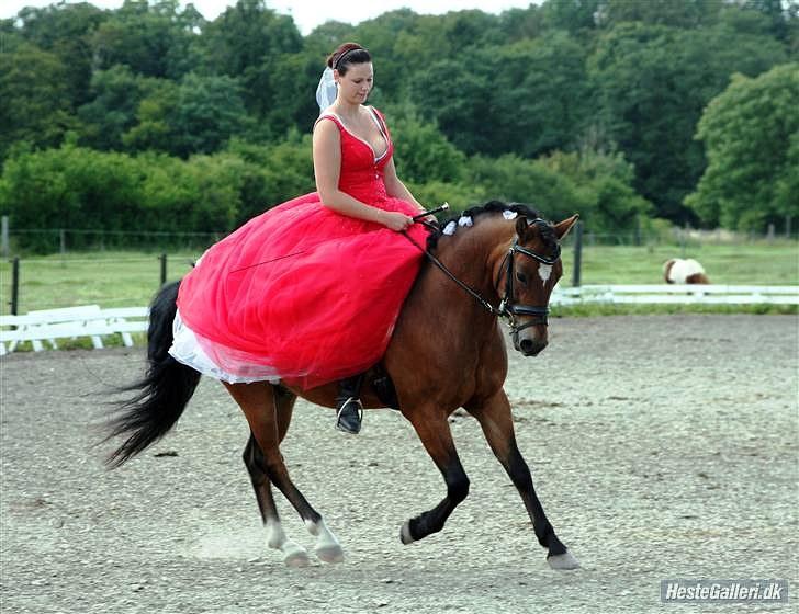 Dejlige Carte D'or - "Cirkusprinsesse", på ridelejr 2009;) billede 13