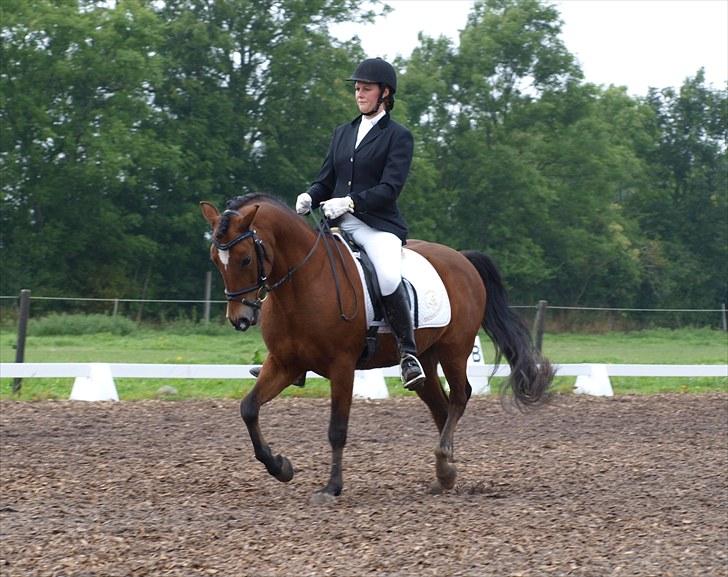 Dejlige Carte D'or - Stævne på hjemmebane efterår 2010:D billede 15