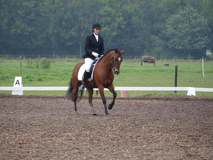 Dejlige Carte D'or - Stævne på hjemmebane efterår 2010:D billede 18