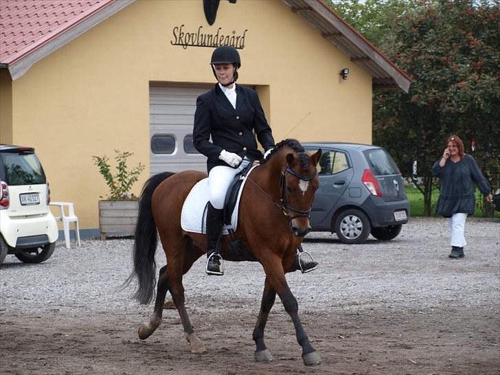 Dejlige Carte D'or - Stævne på hjemmebane efterår 2010:D billede 21